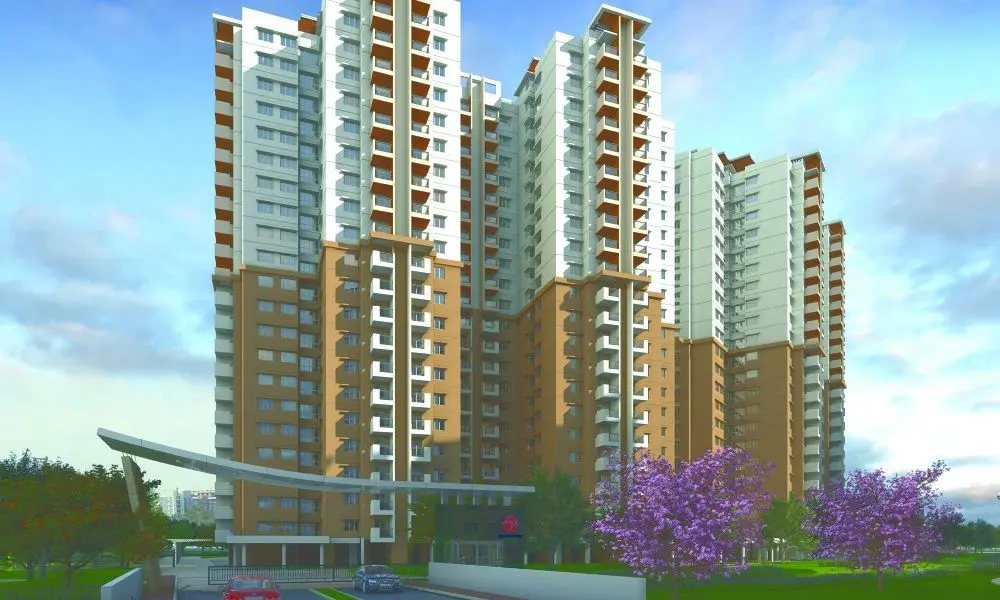 webcity_gallery_5cb7d1140e